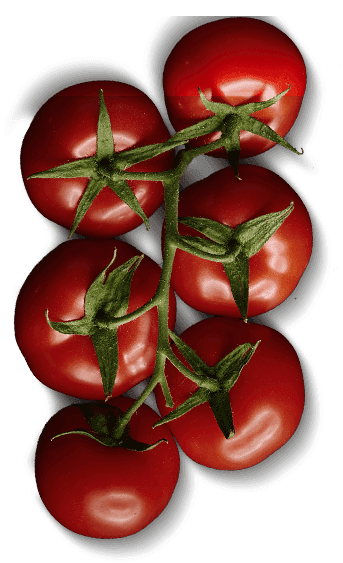 Tomate